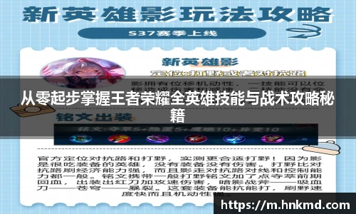 从零起步掌握王者荣耀全英雄技能与战术攻略秘籍